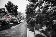    برف زمستانی در تهران