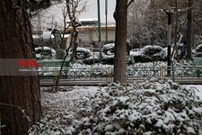   هوای برفی امروز تهران
