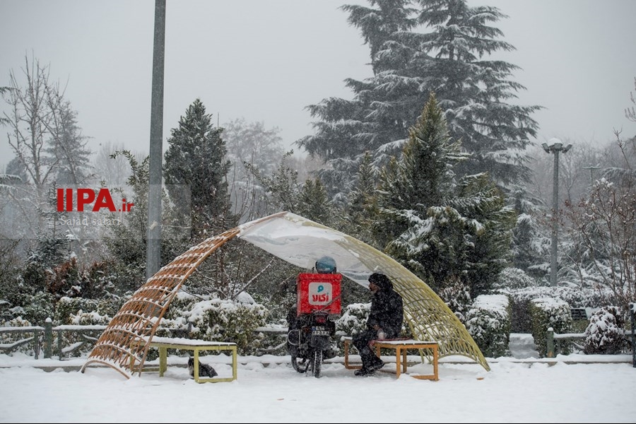   تهران زیر برف 