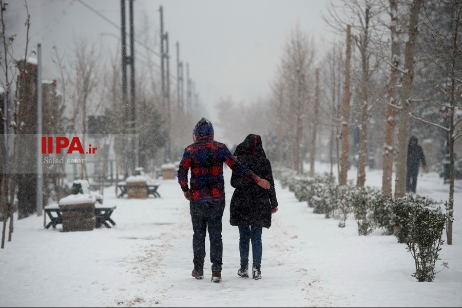   تهران زیر برف 