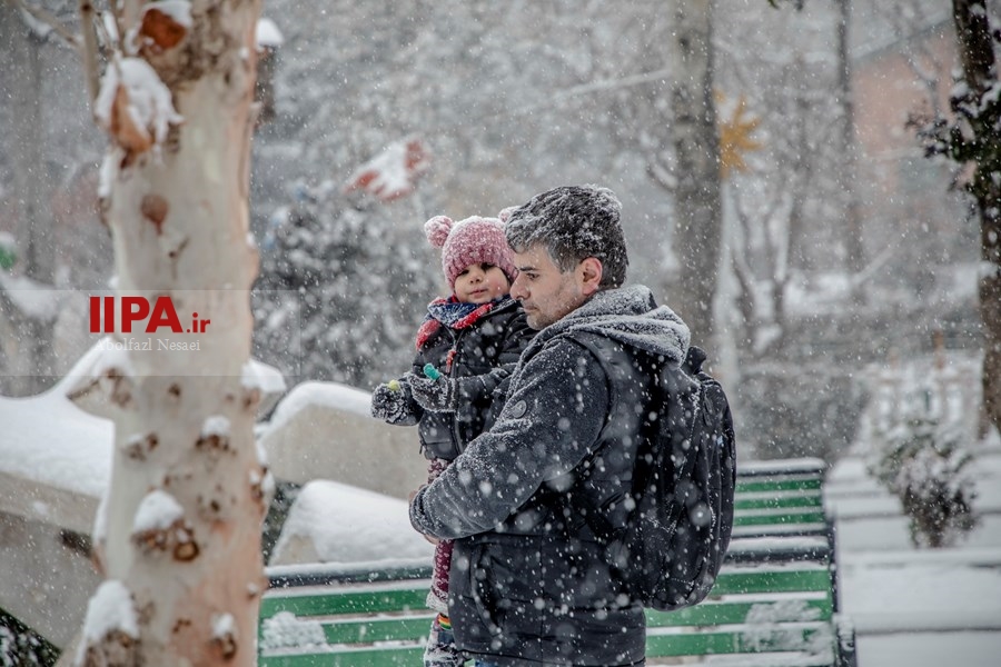   تهران زیر برف 