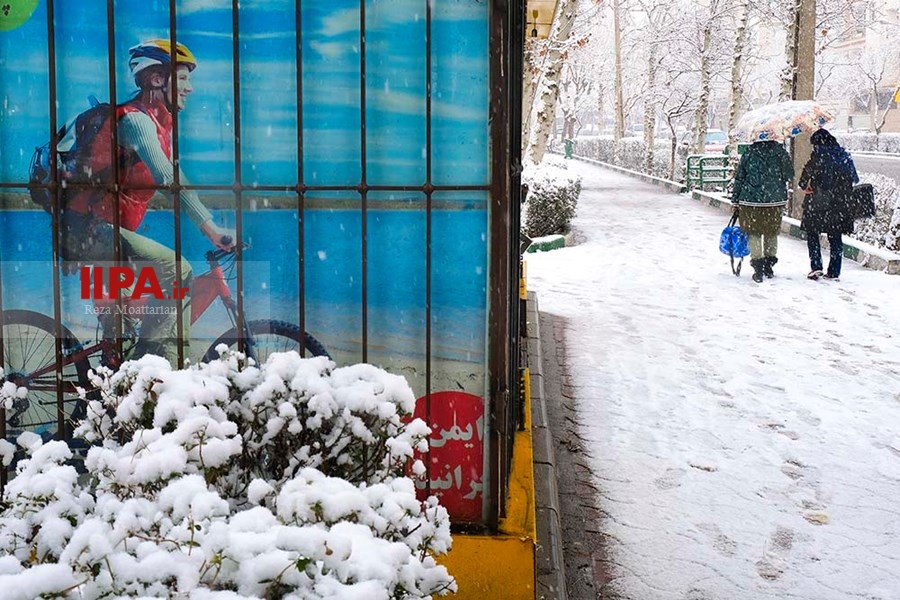   بارش برف در تهران