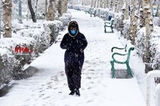   بارش برف در تهران