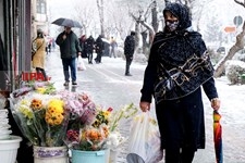   بارش برف در تهران