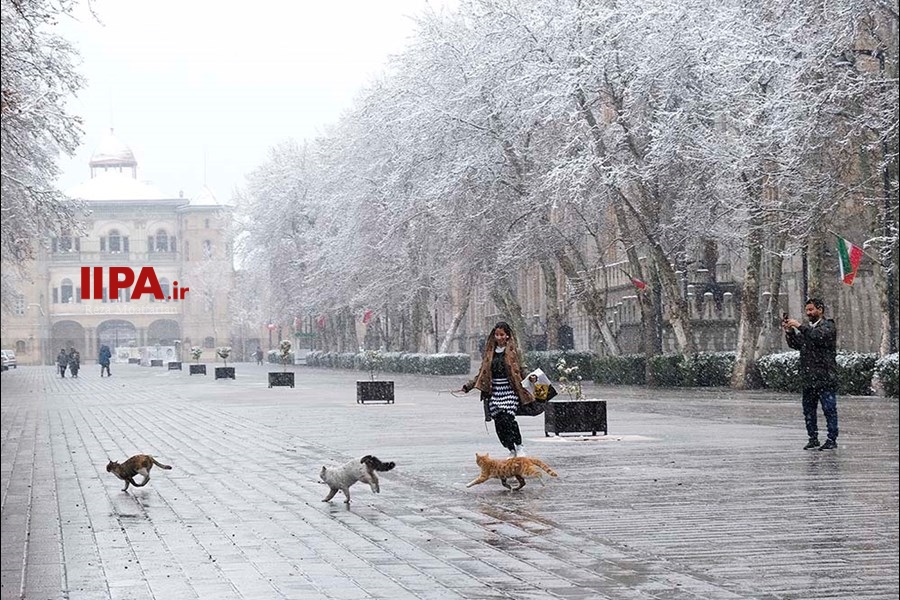   بارش برف در تهران