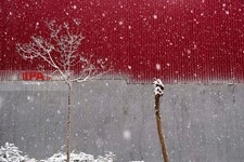   بارش برف در تهران