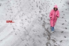   بارش برف در تهران