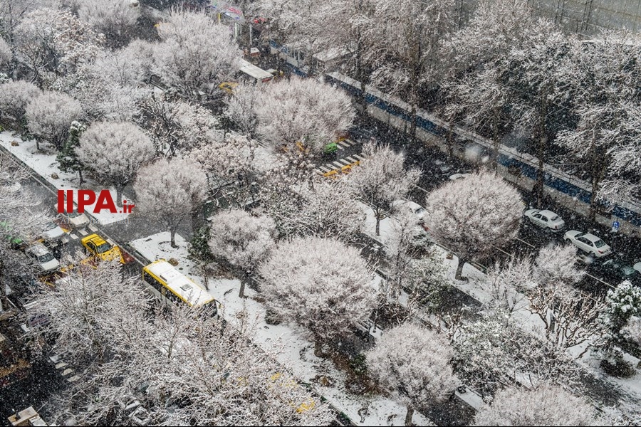   بارش برف در تهران 2