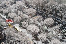   بارش برف در تهران 2