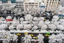   بارش برف در تهران 2