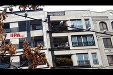   مرغ های دریایی میهمانان تهران 