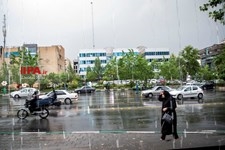   بارش باران بهاری در تهران