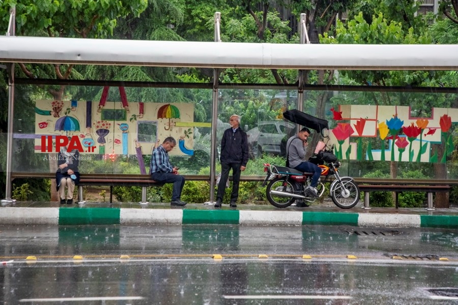   بارش باران بهاری در تهران