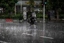   بارش باران بهاری در تهران