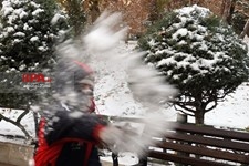   برف پاییزی در تهران