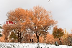 برف پاییزی در تهران