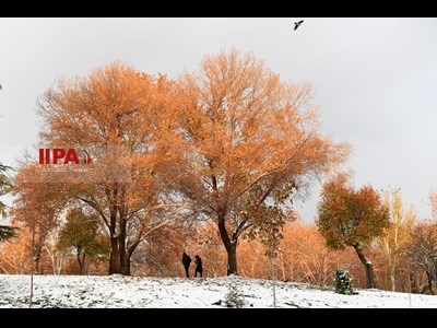 برف پاییزی در تهران