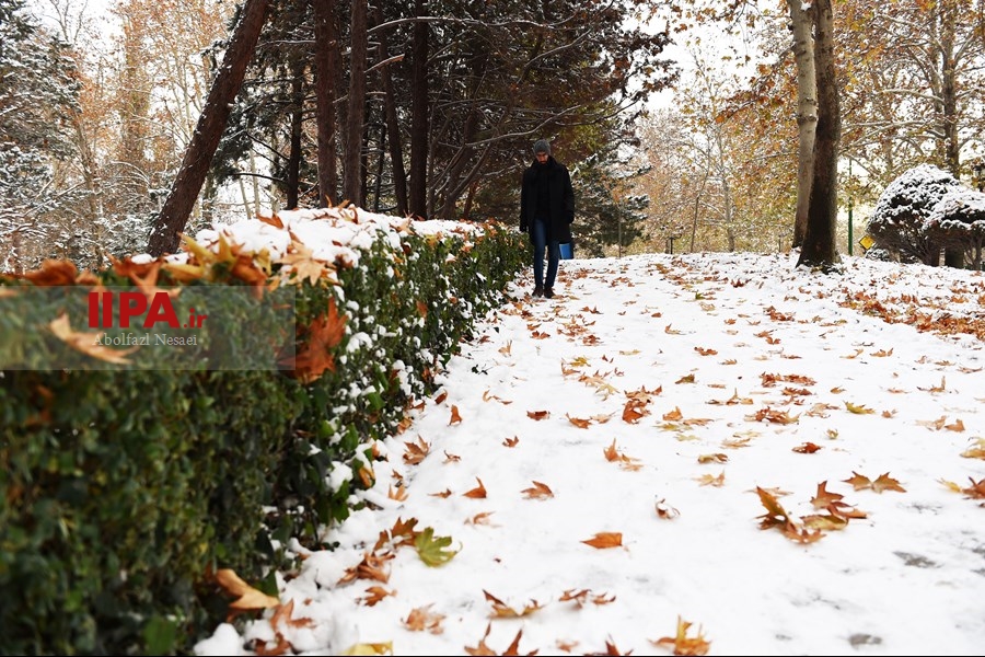   برف پاییزی در تهران