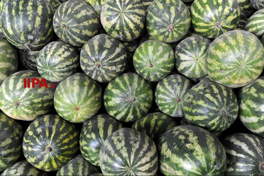   بازار تره بار تهران در آستانه شب یلده 