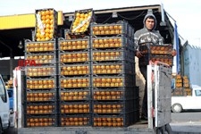   بازار تره بار تهران در آستانه شب یلده 