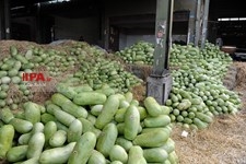   بازار تره بار تهران در آستانه شب یلده 