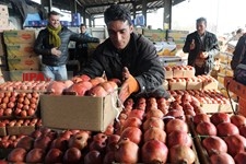   بازار تره بار تهران در آستانه شب یلده 