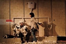   نمایش کلاغ
