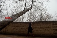   روز مه الود تهران 