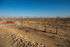   خشکسالی در سیرجان کرمان
