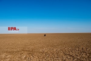 خشکسالی در سیرجان کرمان