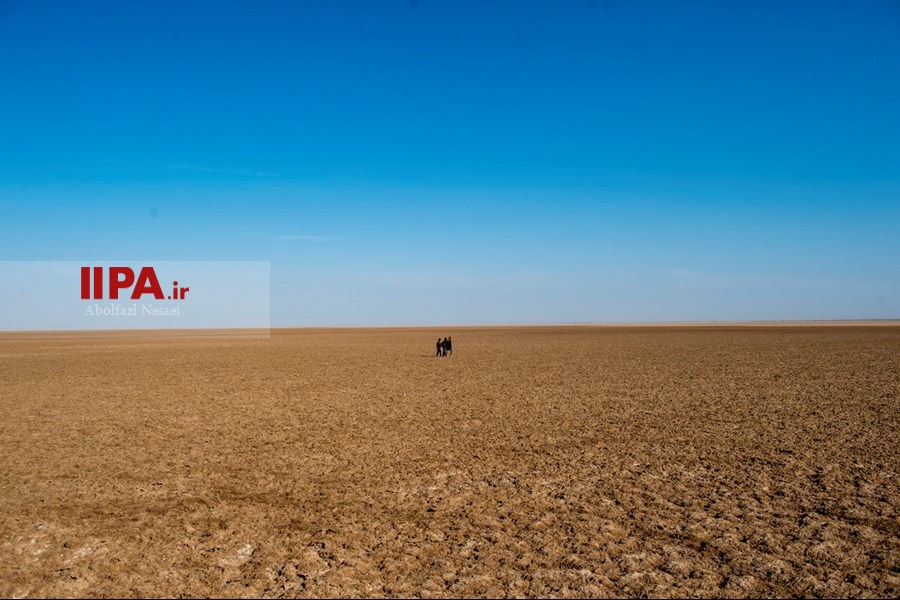   خشکسالی در سیرجان کرمان
