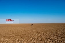   خشکسالی در سیرجان کرمان