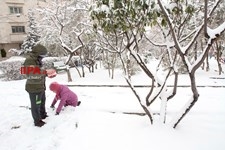   بارش برف زمستانی در تهران 