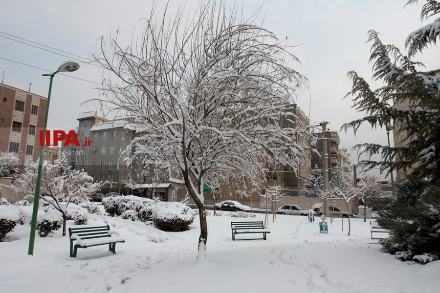   بارش برف زمستانی در تهران 