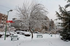   بارش برف زمستانی در تهران 