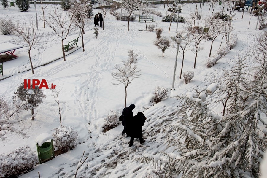   بارش برف زمستانی در تهران 