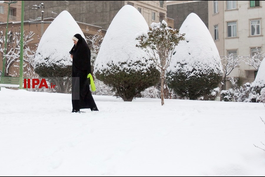   بارش برف زمستانی در تهران 
