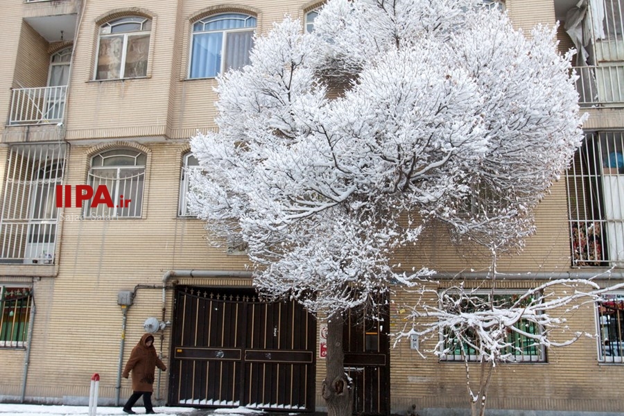   بارش برف زمستانی در تهران 