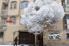   بارش برف زمستانی در تهران 
