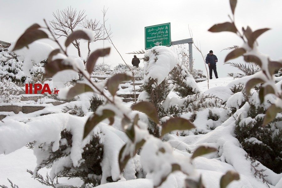   بارش برف زمستانی در تهران 