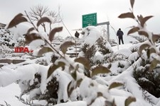   بارش برف زمستانی در تهران 