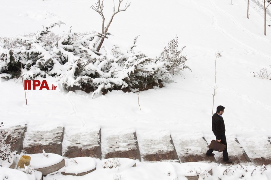   بارش برف زمستانی در تهران 