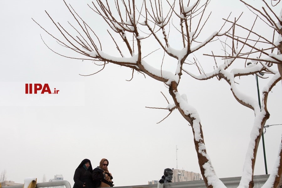   بارش برف زمستانی در تهران 