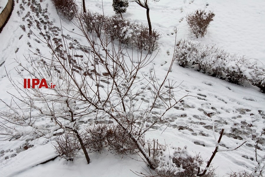  بارش برف زمستانی در تهران 