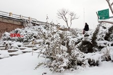   بارش برف زمستانی در تهران 