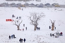   برف بازی در مشهد 