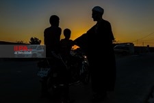   جزیره لاوان 