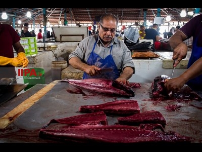 بازارماهی فروشان بندرعباس