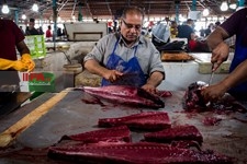   بازارماهی فروشان بندرعباس