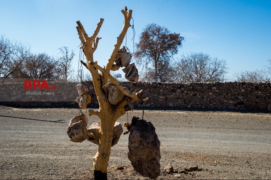   باغ سنگی در سیر جان 